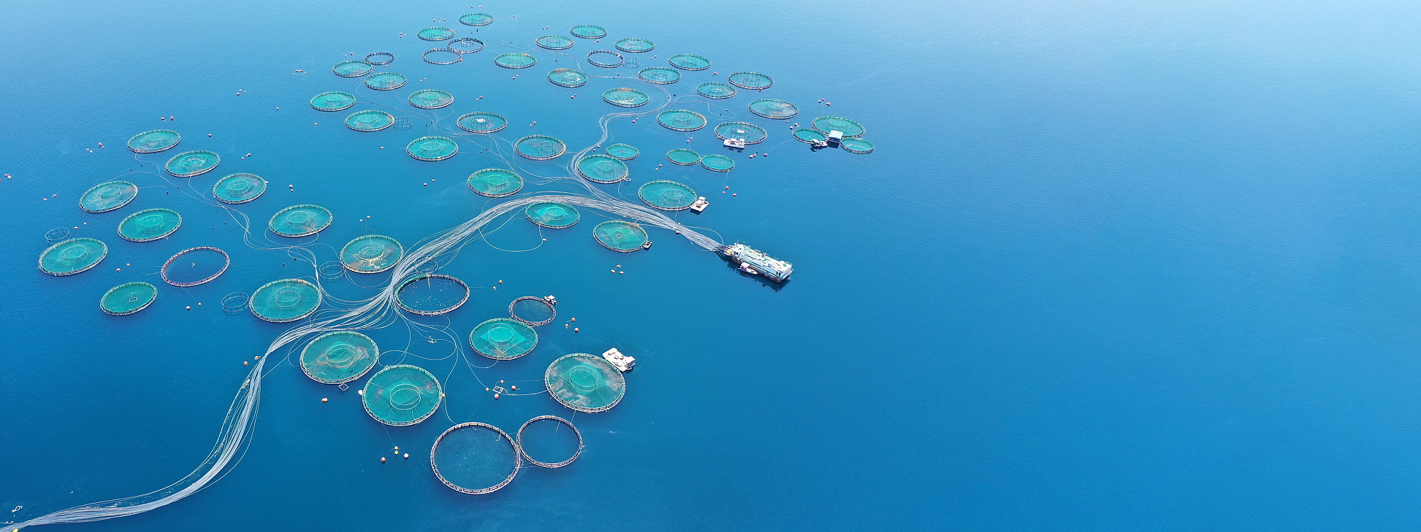 Aquaculture